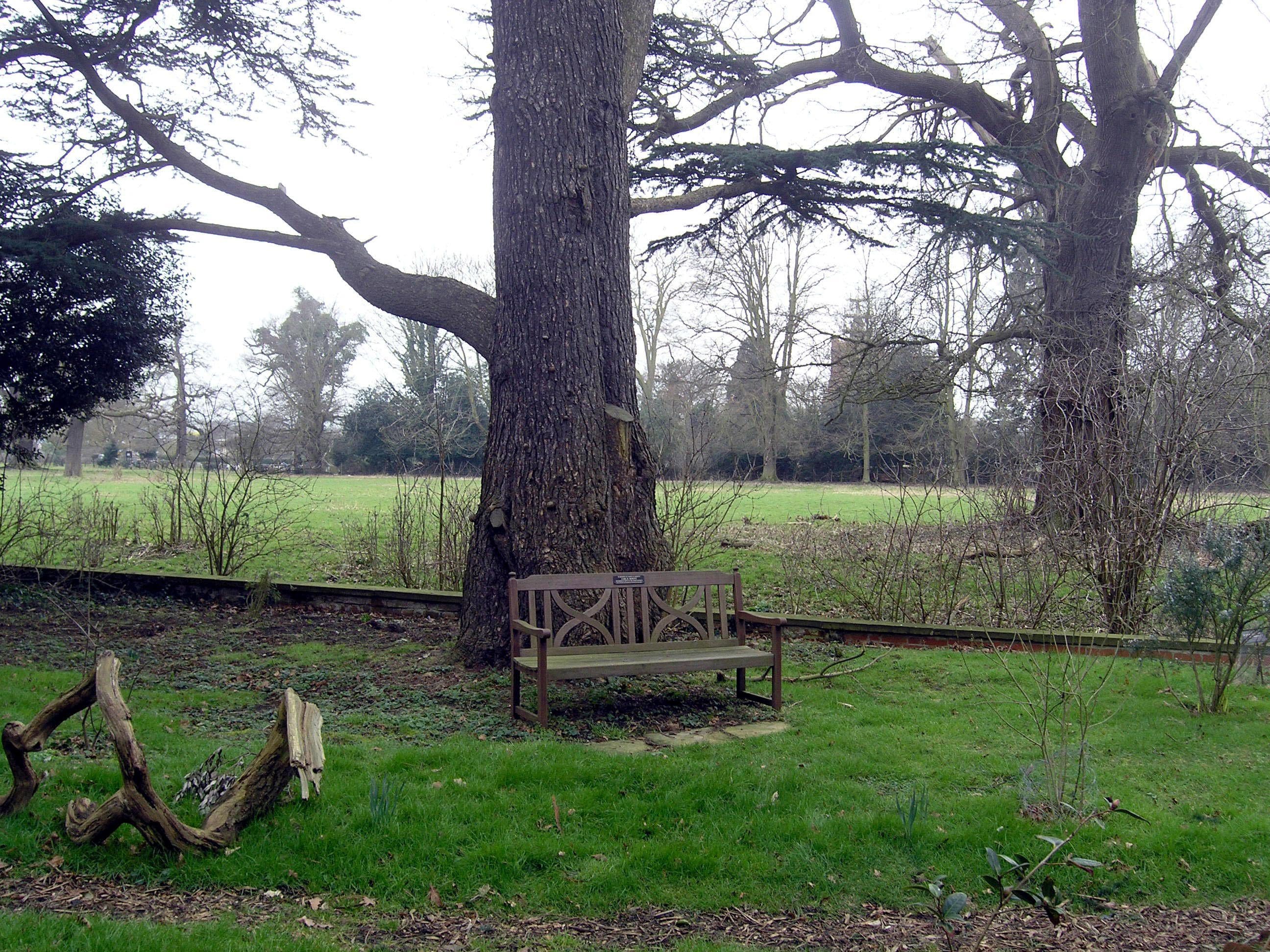 Carl's memorial bench