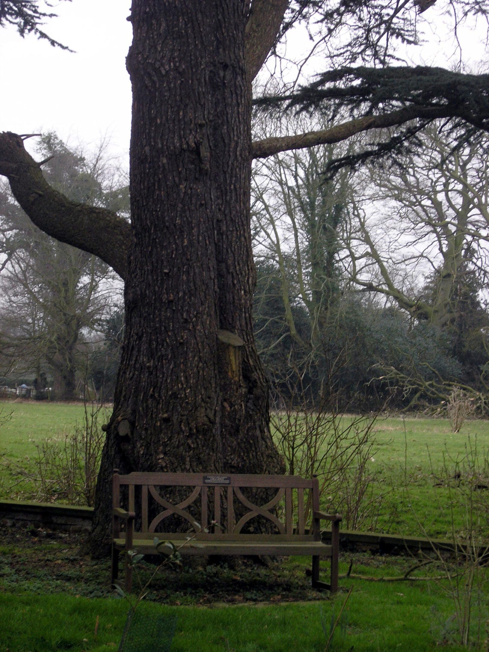 Carl's memorial bench
