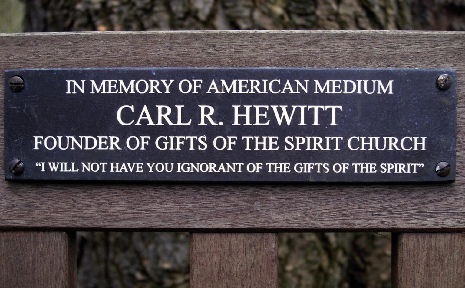 The plaque on Carl's memorial bench
