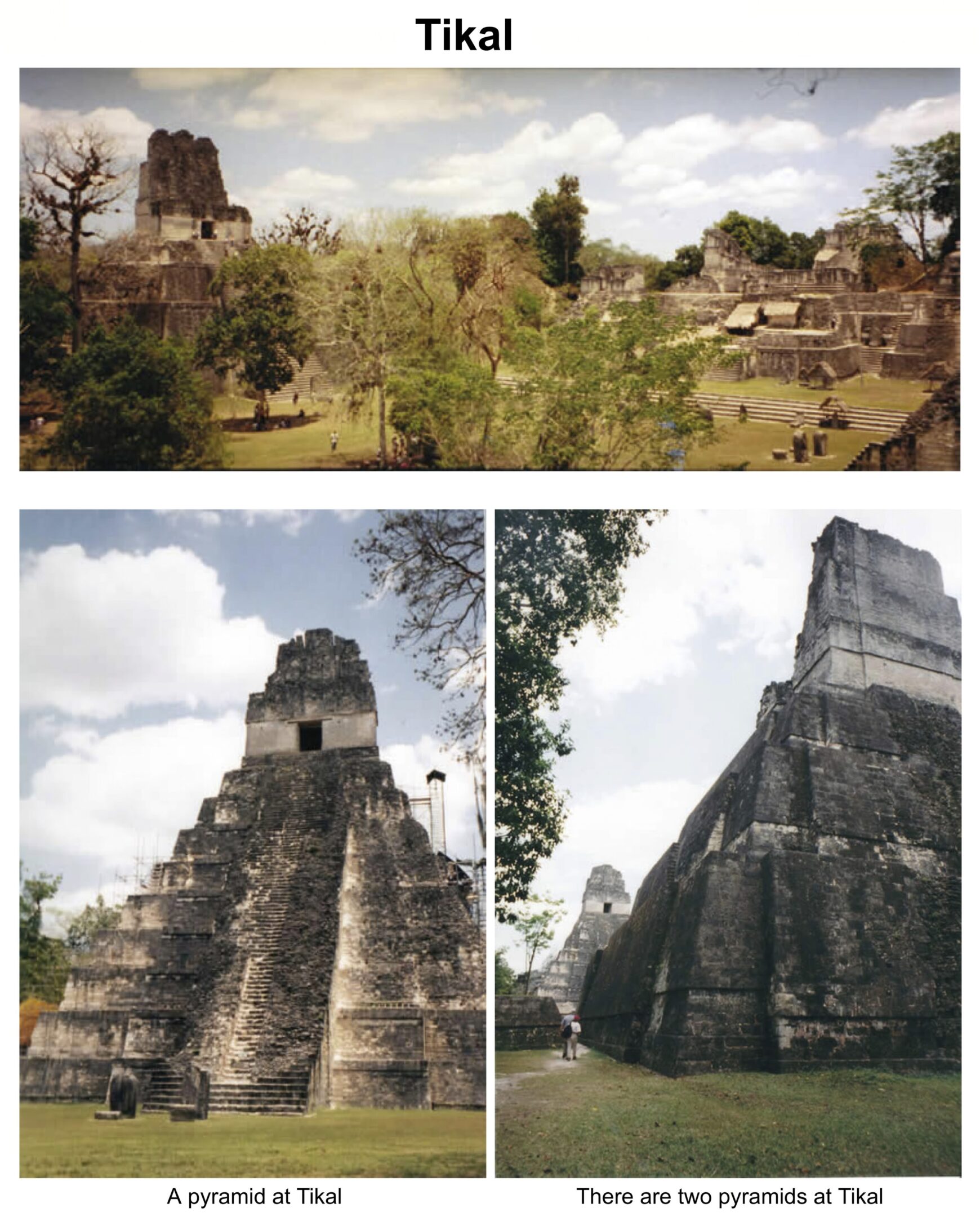 Mayan Sites3 Tikal-G