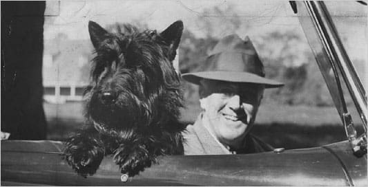 Man and dog in a car.